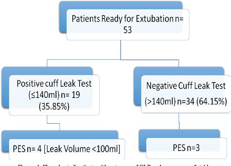 cuff leak test|Performance of the cuff leak test in adults in predicting。